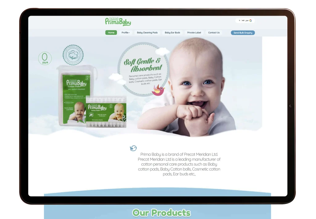 Business website design Dubai